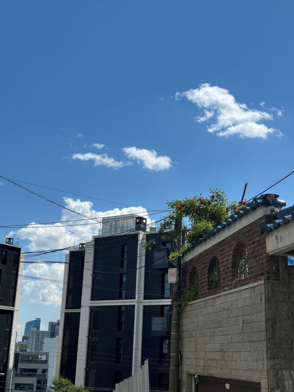 181cb4106c0c1528.jpg